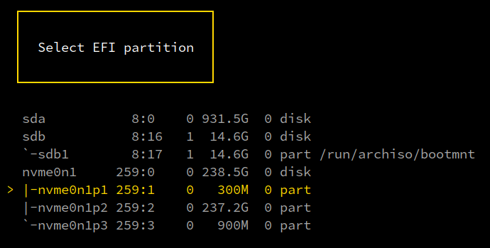 Aegis TUI Partitioning Select EFI