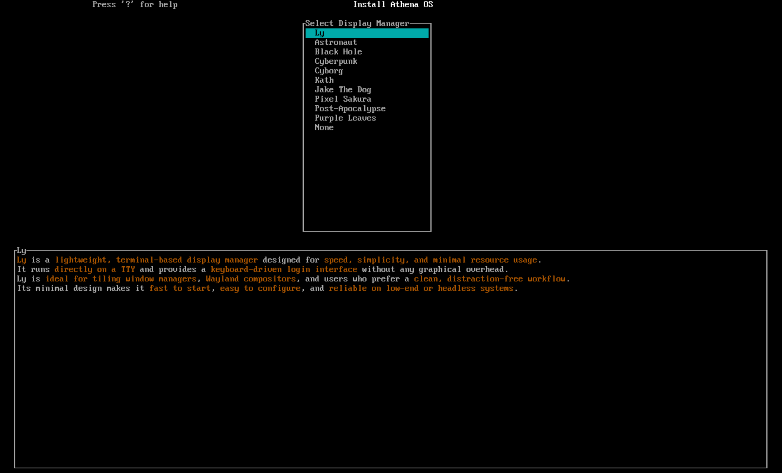 Display Manager