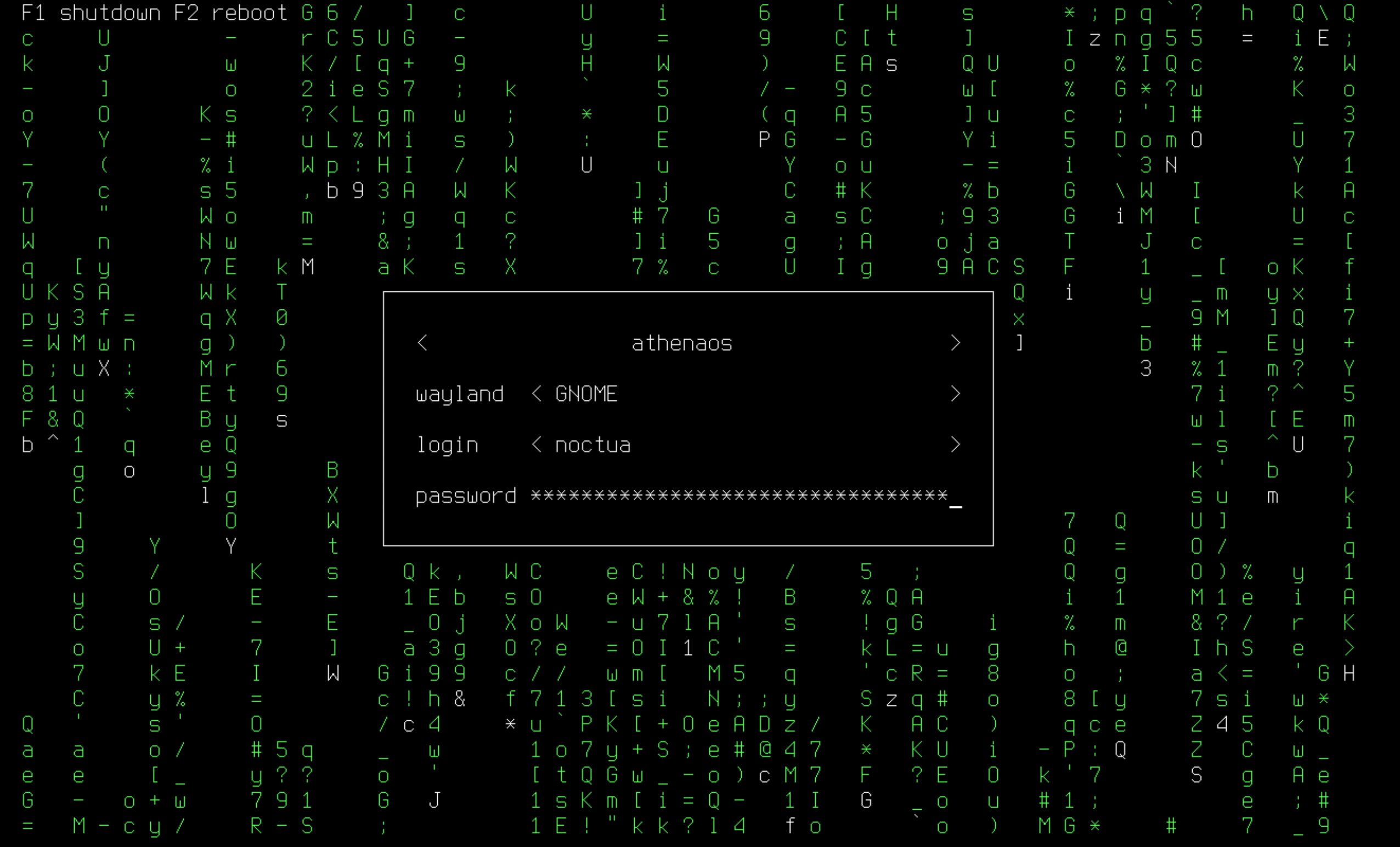 Ly Matrix Theme